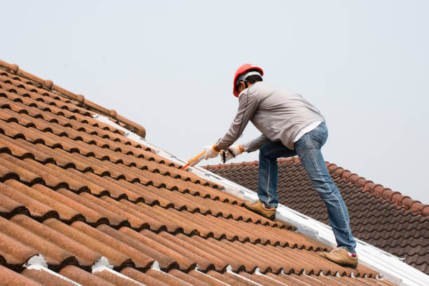 Fast & Reliable Emergency Roof Repairs in Pebble Creek, FL